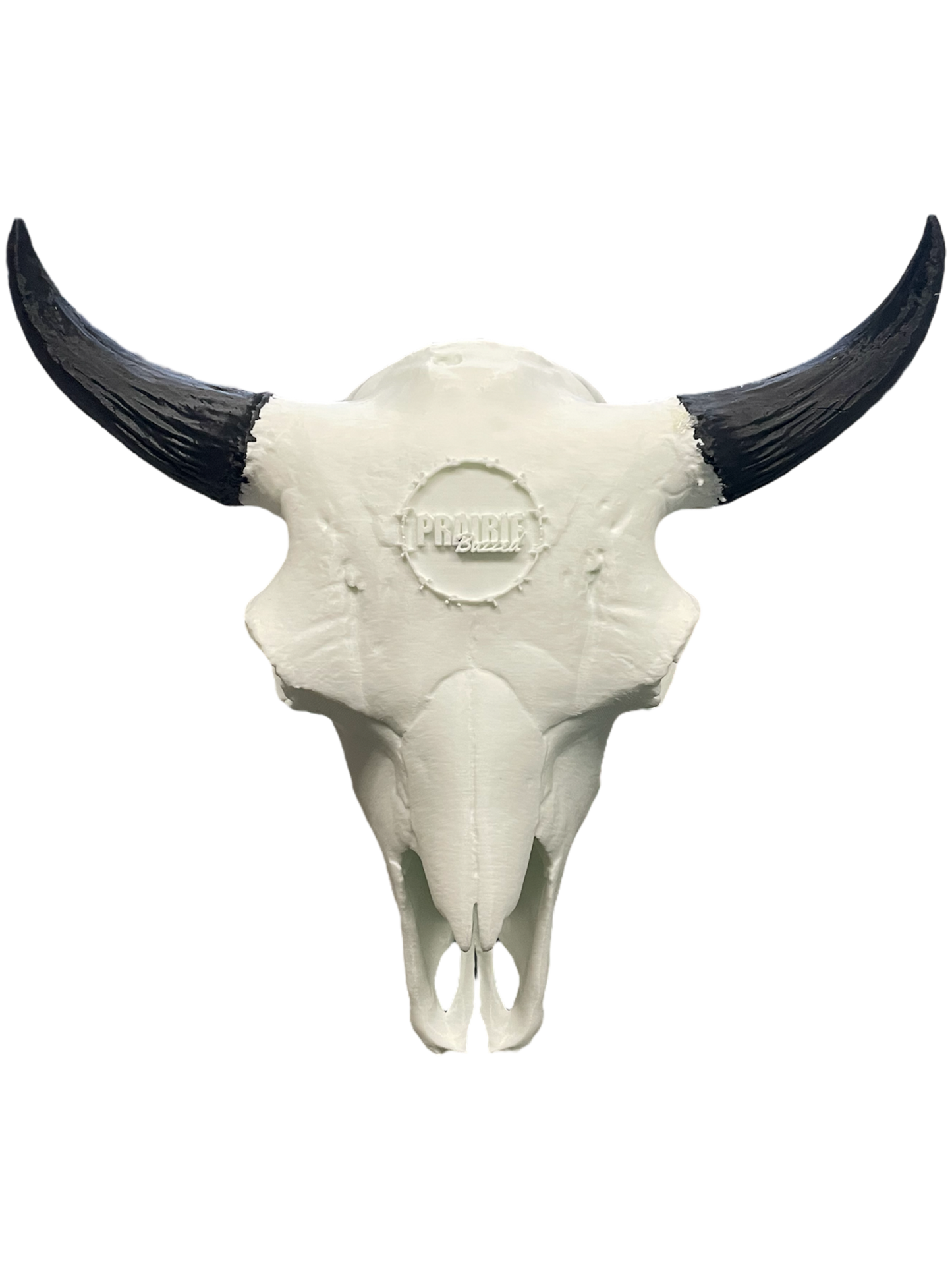 Bull Skull